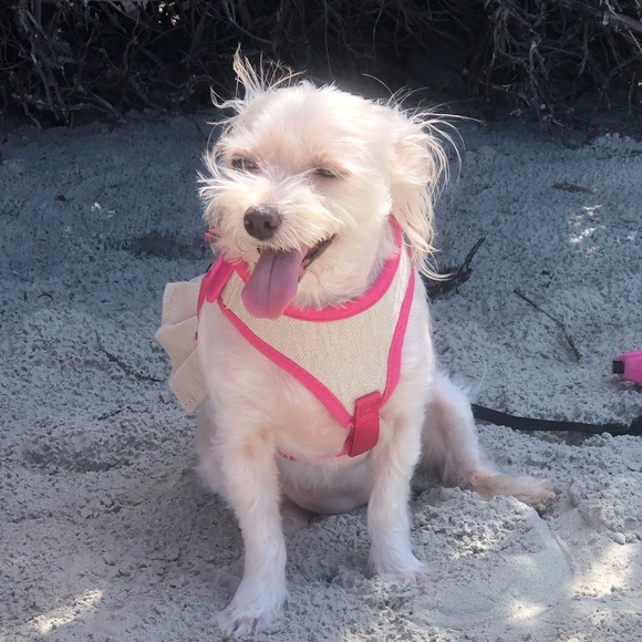 Meet your Posher, Tamela - Picture 1 of 1